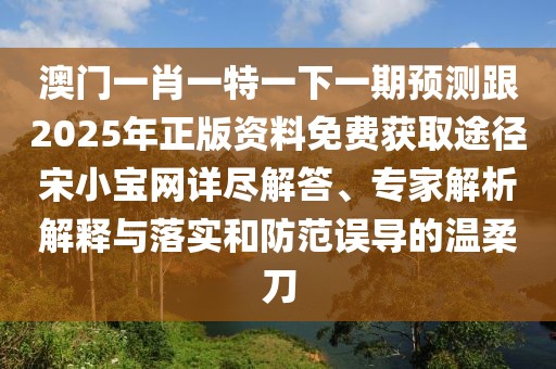 澳門(mén)一肖一特一下一期預(yù)測(cè)跟2025年正版資料免費(fèi)獲取途徑宋小寶網(wǎng)詳盡解答、專家解析解釋與落實(shí)和防范誤導(dǎo)的溫柔刀