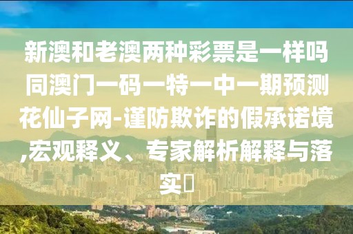 新澳和老澳兩種彩票是一樣嗎同澳門一碼一特一中一期預(yù)測(cè)花仙子網(wǎng)-謹(jǐn)防欺詐的假承諾境,宏觀釋義、專家解析解釋與落實(shí)?