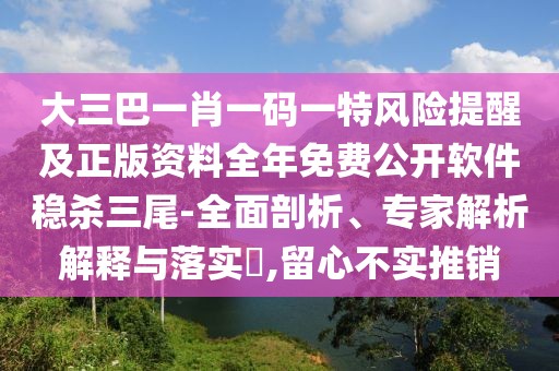 大三巴一肖一碼一特風險提醒及正版資料全年免費公開軟件穩(wěn)殺三尾-全面剖析、專家解析解釋與落實?,留心不實推銷