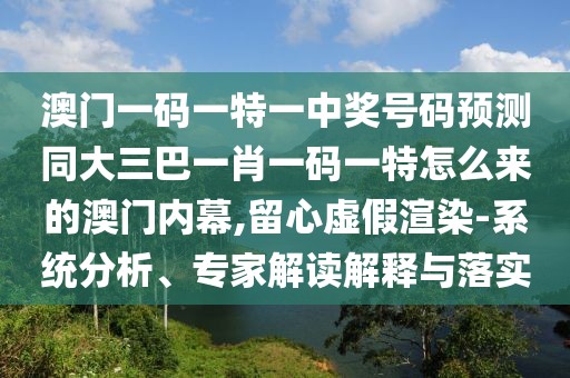 澳門(mén)一碼一特一中獎(jiǎng)號(hào)碼預(yù)測(cè)同大三巴一肖一碼一特怎么來(lái)的澳門(mén)內(nèi)幕,留心虛假渲染-系統(tǒng)分析、專(zhuān)家解讀解釋與落實(shí)