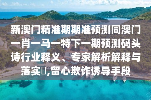 新澳門精準期期準預測同澳門一肖一馬一特下一期預測碼頭詩行業(yè)釋義、專家解析解釋與落實?,留心欺詐誘導手段